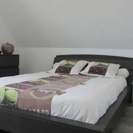 Maison Moderne A Etel, 4 Ch, Jardin Prive, Wifi, Animaux Acceptes - Fr-1-479-207